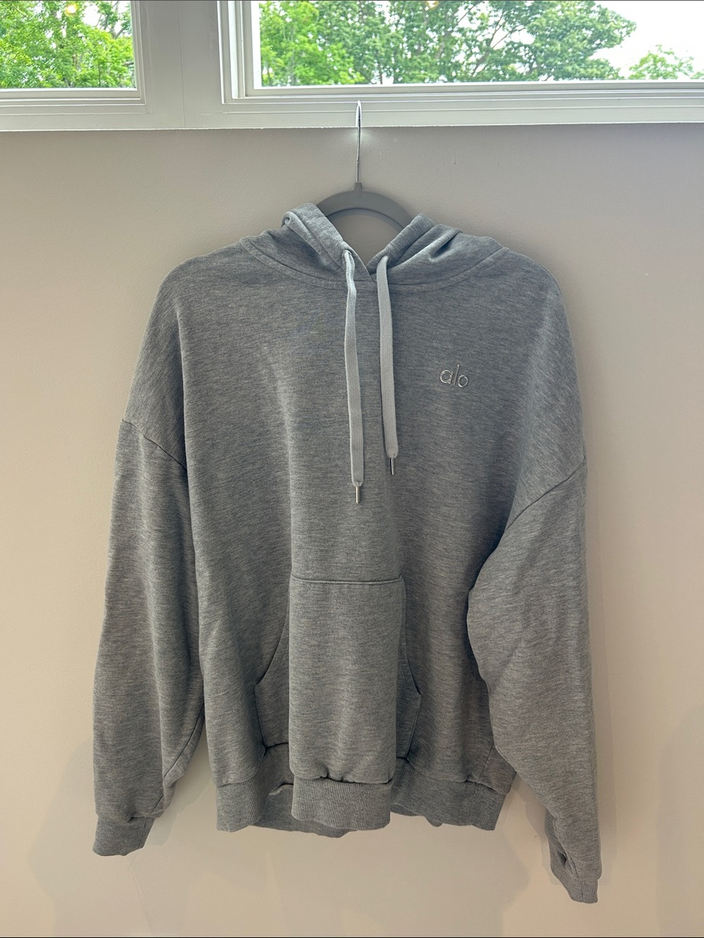 Alo Hoodie Gray